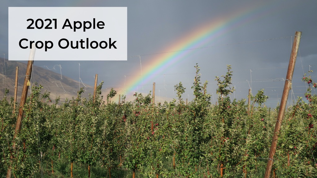 Apple maturity in Montana - Western Agricultural Research Center