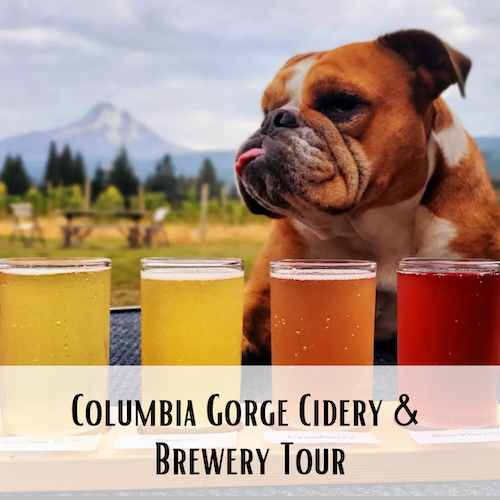 Columbia Gorge Cidery Brewery Tour