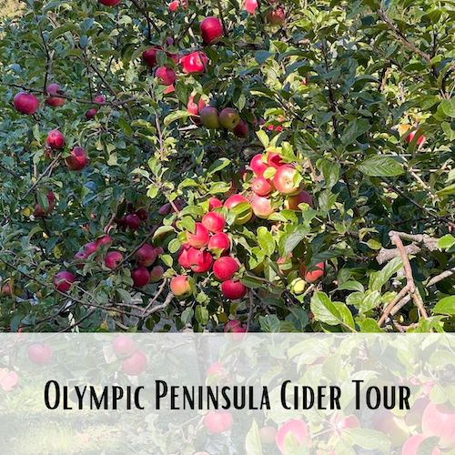 Olympic Peninsula Cider Tour