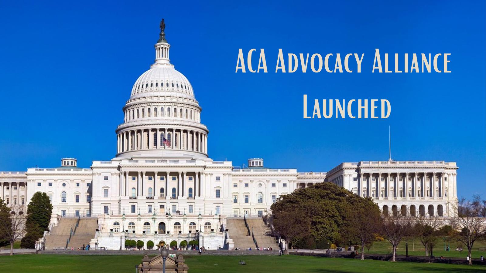 ACA Advocacy Alliance launches