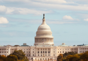 New Dietary Guidelines (1080 x 1080 px)